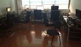 萝卜工作室最新爆料,最新爆料背后的故事与真相